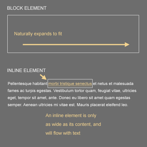 Block and Inline Elements
