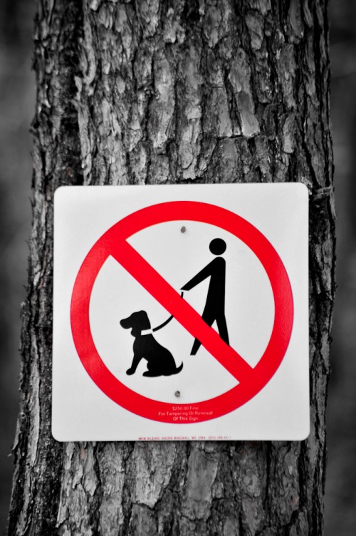 Wayfinding and Typographic Signs - just-dont-bring-your-dog