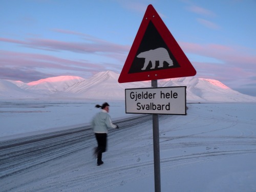 Wayfinding and Typographic Signs - beware,-polar-bears-!