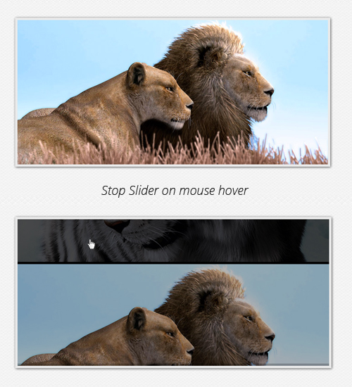 Stop slider on mouse hover