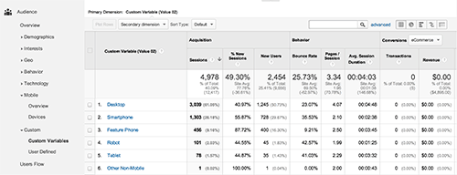 Custom Variables Report