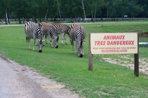 Wayfinding and Typographic Signs - evil-zebras