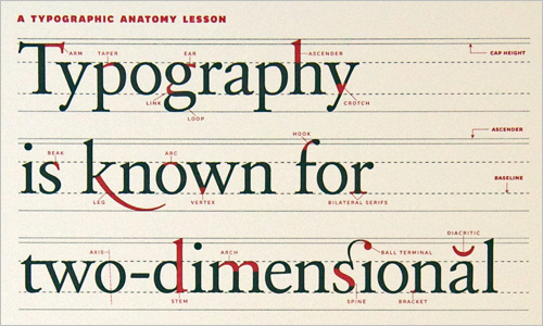 A Typographic Anatomy Lesson
