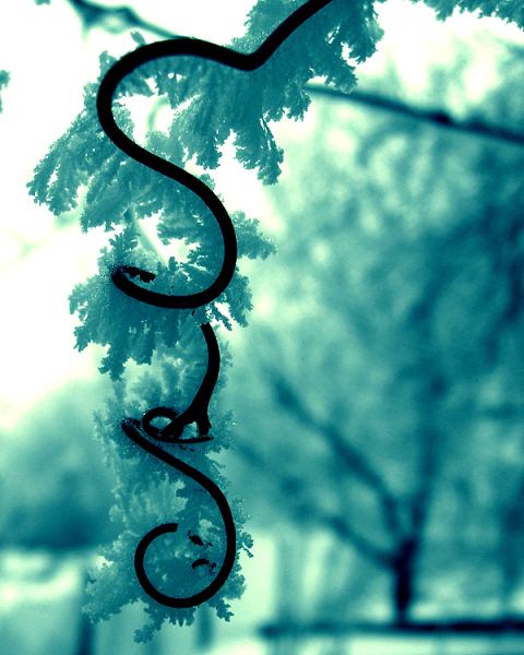 Winter Wonderland Photo