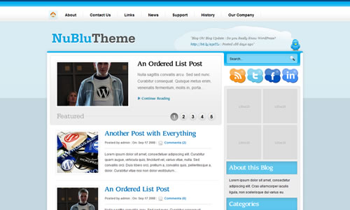 Nublu Free WP Theme