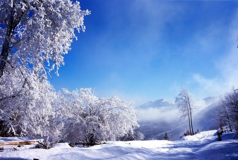 beautiful winter scenery wallpaper