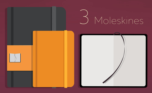 Moleskine notebooks