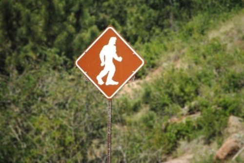 Wayfinding and Typographic Signs - big-foot-watch-zone