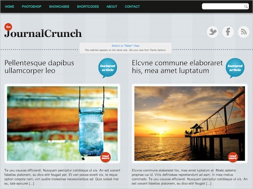 Journal Crunch Free WP Theme