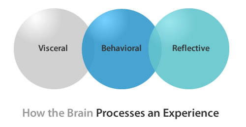 Levels of Processing