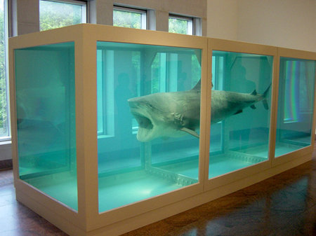 Hirst's Shark