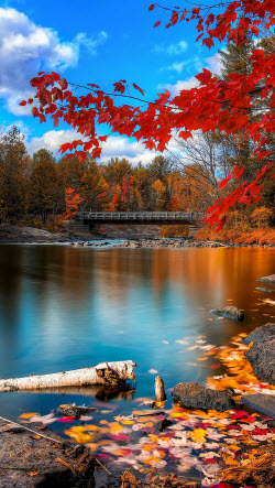 River in the Fall