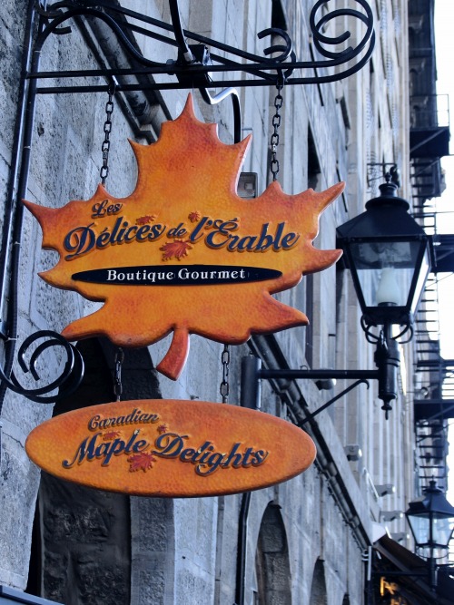 Wayfinding and Typographic Signs - canadian-maple-delights
