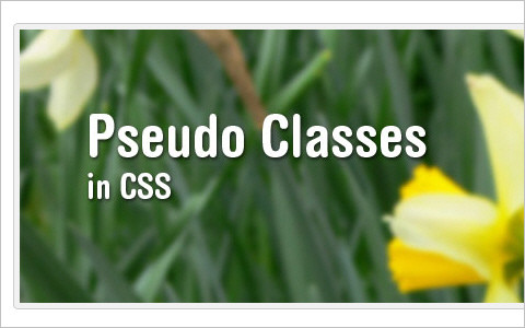 The Mysterious Pseudo Class in CSS