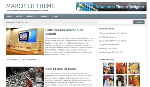 Free Wordpress themes