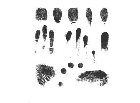 Fingerprint Vectors