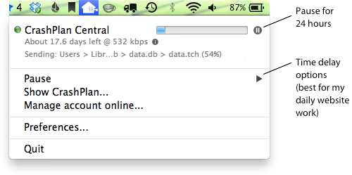 CrashPlan's drop-down menu controls