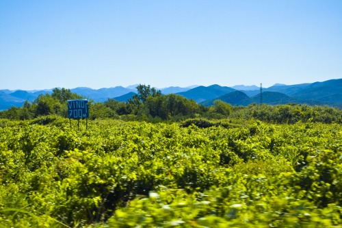 Wayfinding and Typographic Signs - the-wine-sign