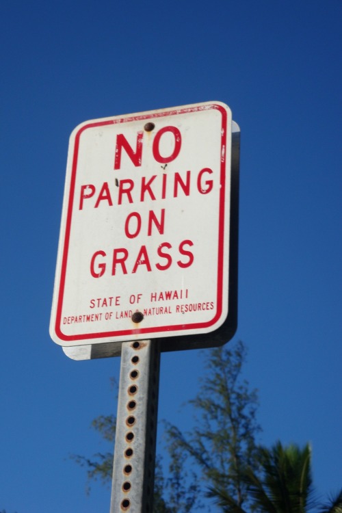 Wayfinding and Typographic Signs - no-parking-on-grass