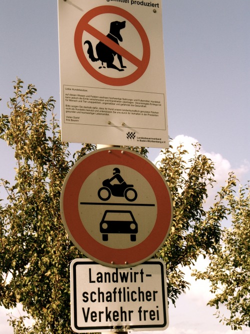 Wayfinding and Typographic Signs - dont-drop-or-drive