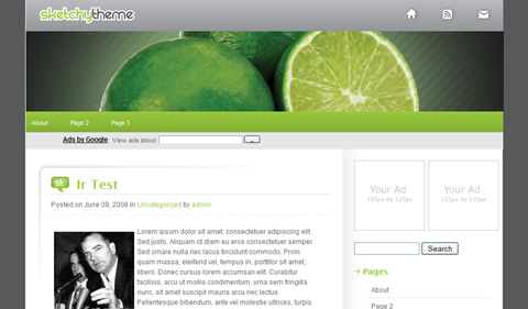 Free Wordpress themes