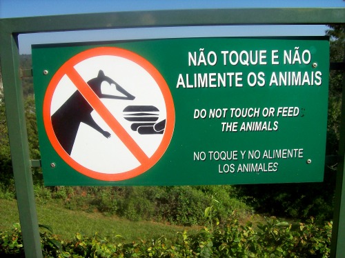 Wayfinding and Typographic Signs - do-not-feed-animals