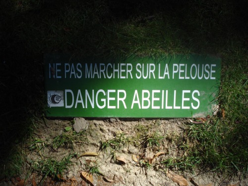 Wayfinding and Typographic Signs - danger-bees