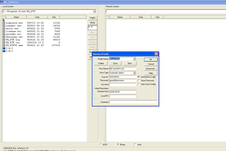 WS_FTP Screenshot