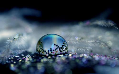 Mind-Blowing Photos - Glittery Ball