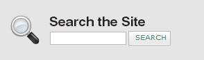 Search box