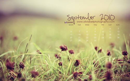 Smashing Wallpaper - september 10