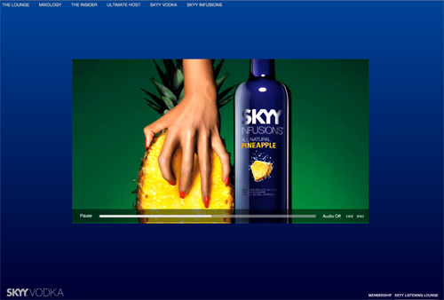 SKYY Vodka