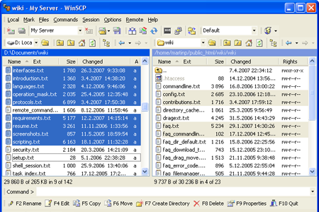 WinSCP Screenshot