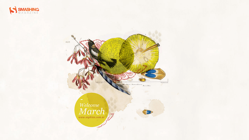 Smashing Wallpaper - march 11