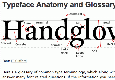 Typeface in Useful Glossaries For Web Designers and Developers