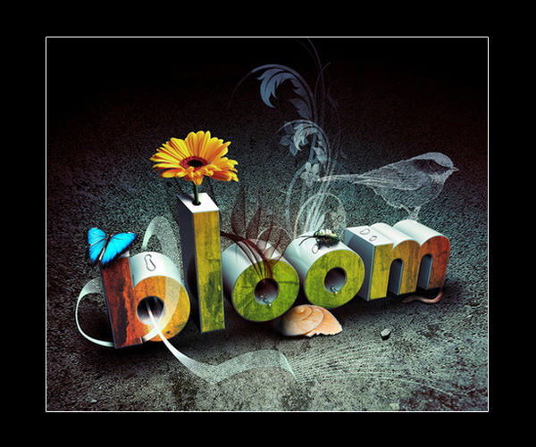 Bloom