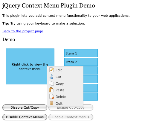 Panel Context Menu