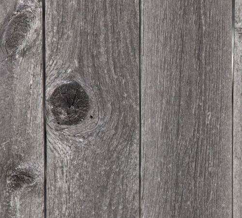 Wood Texture