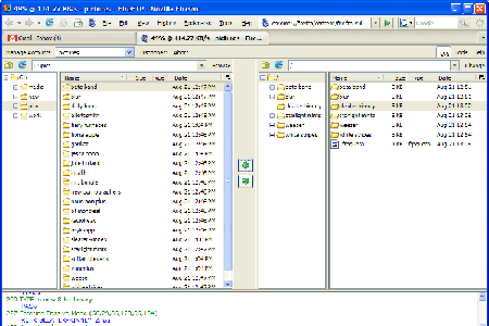 FireFTP Screenshot