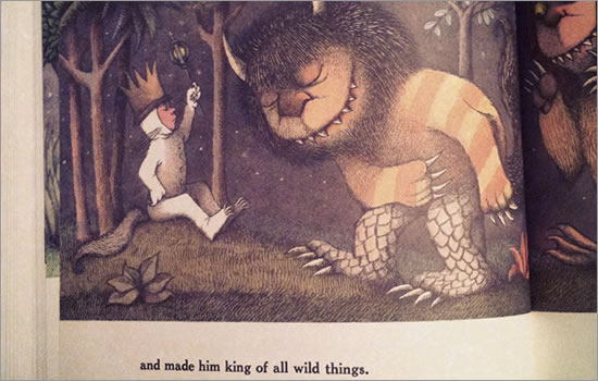 Wild Things Book