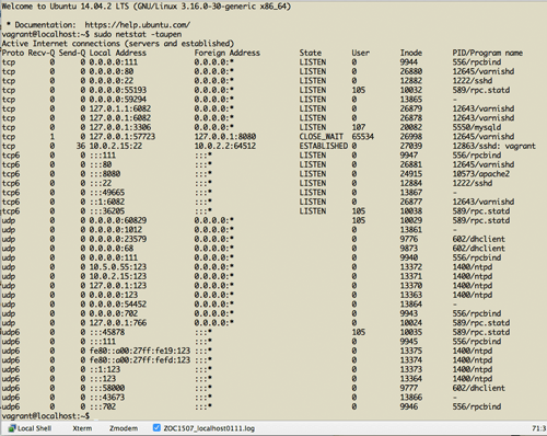 Netstat