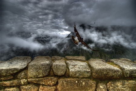 HDR Photos - Caracara takes off