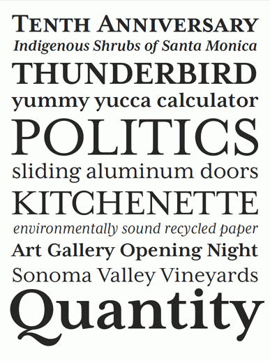 Professional Typefaces - Type & Graphics by Henning Skibbe