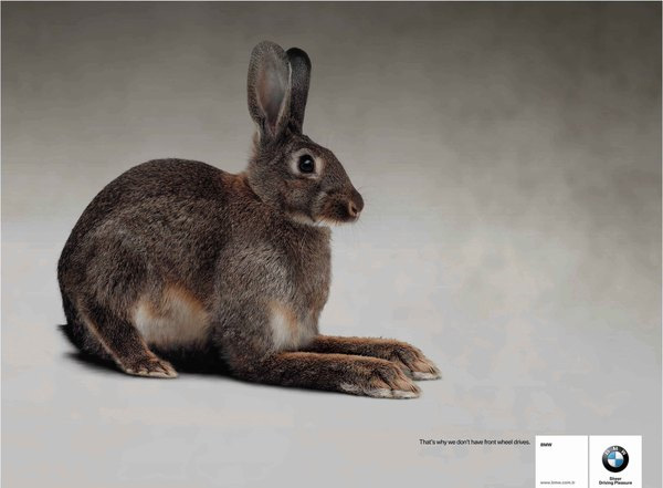 BMW Rabbit