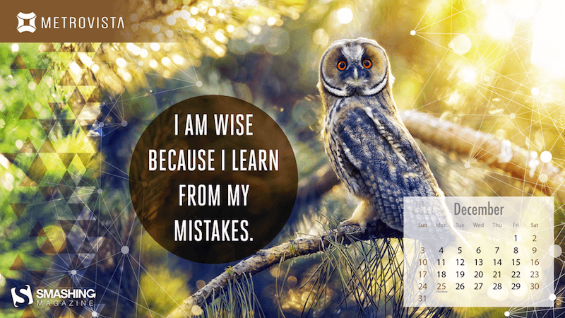 Learn From Your Mistakes