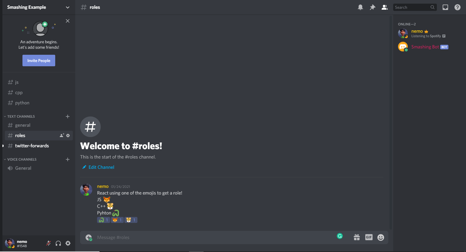 Discord Bot Setup