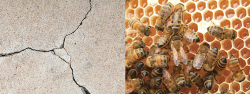 Classic examples of the stacking and packing pattern: Breaks in a cement sidewalk and the beehive