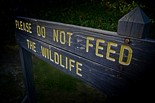 Wayfinding and Typographic Signs - presque-isle