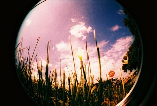 fisheye