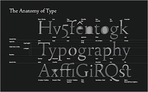 Useful Typography Resources - Wallpaper : Font Anatomy